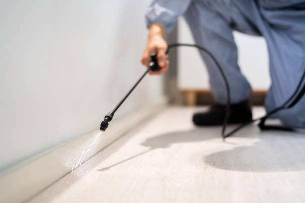 Best Emergency Pest Control  in New Burlington, OH