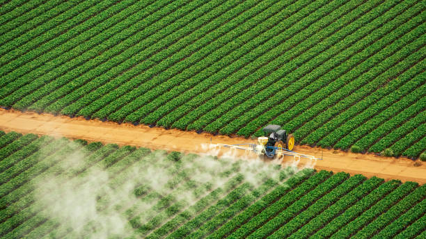 Best Commercial Pest Control Services  in New Burlington, OH