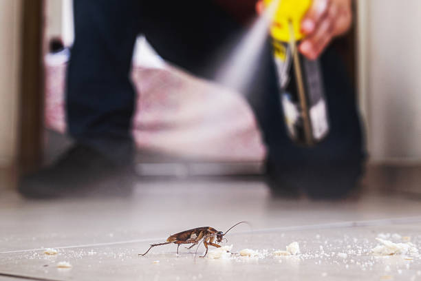  New Burlington, OH Pest Control Pros