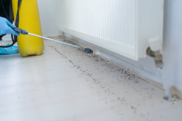 Best Ant Control Services  in New Burlington, OH