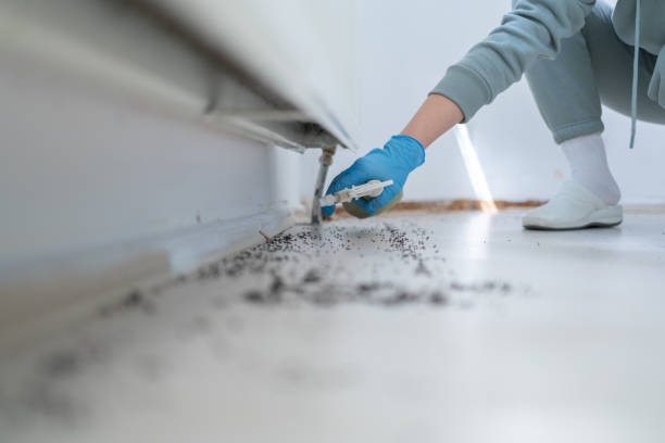 Reliable New Burlington, OH Pest Control Solutions
