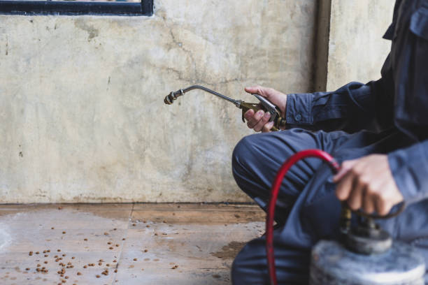 Best Best Pest Control Companies  in New Burlington, OH