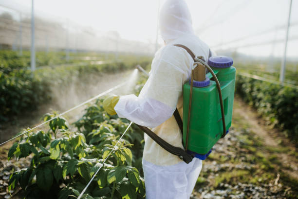 Best Pest Removal Services  in New Burlington, OH